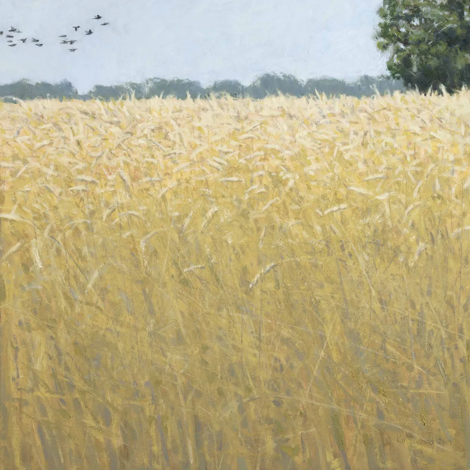 Ron Kingswood, Wheat Field