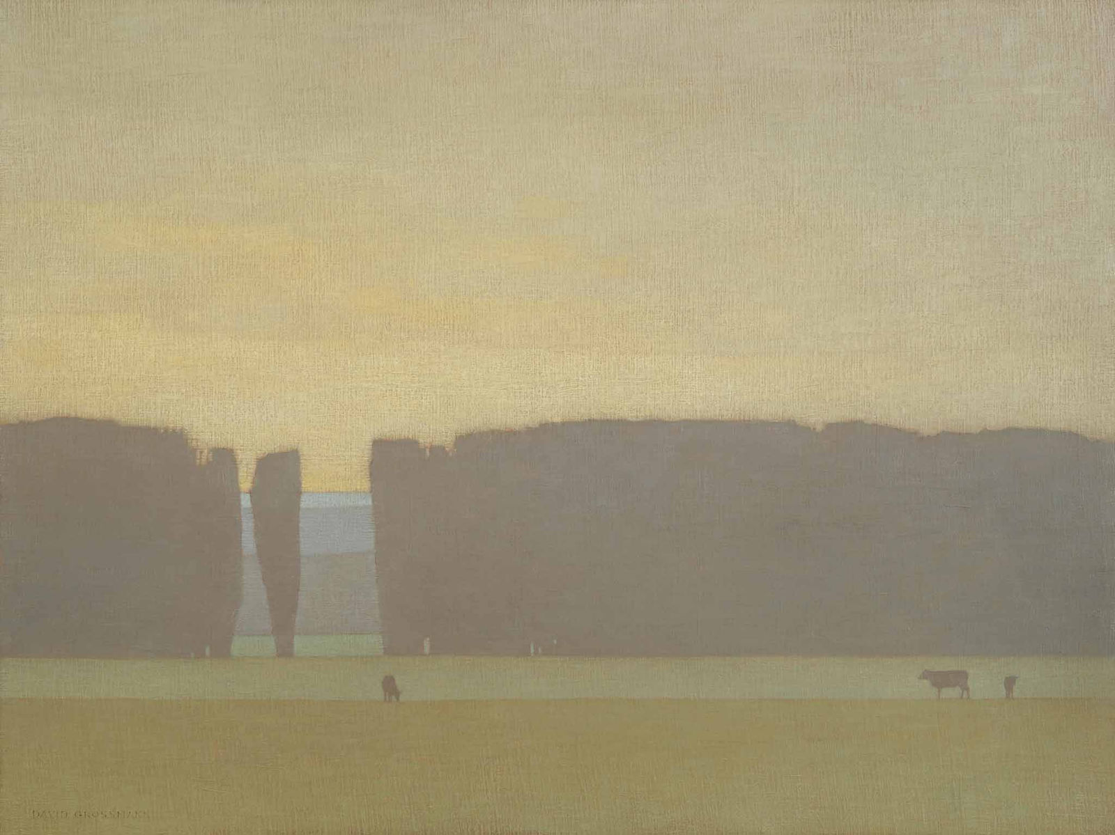 David Grossmann, Early Morning Pasture