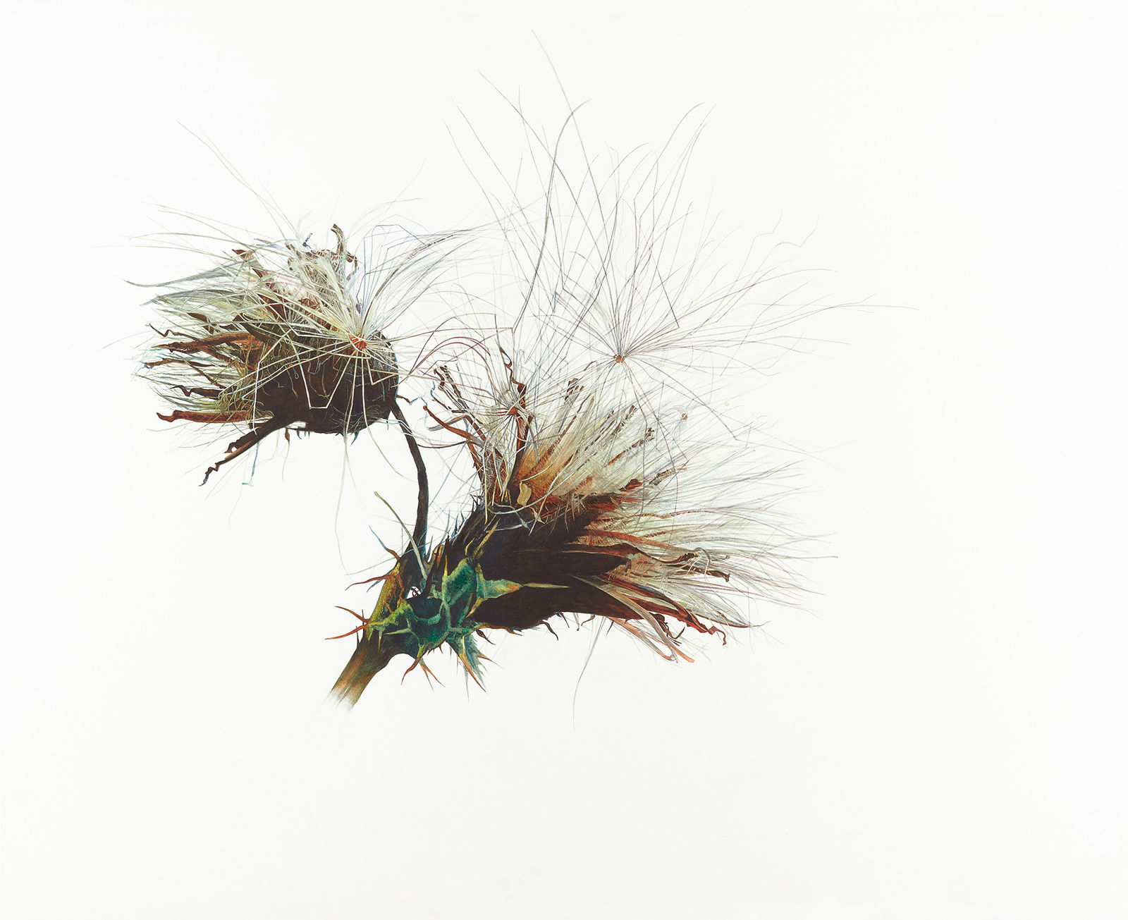 Rosie Sanders, Lightness of Being, 2021