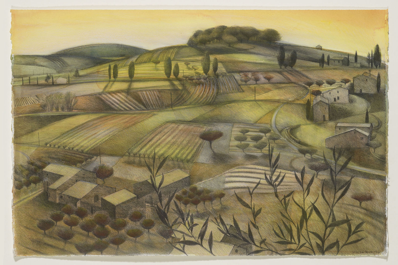 Tom Mabon, Patterned Fields. Provence, 2020