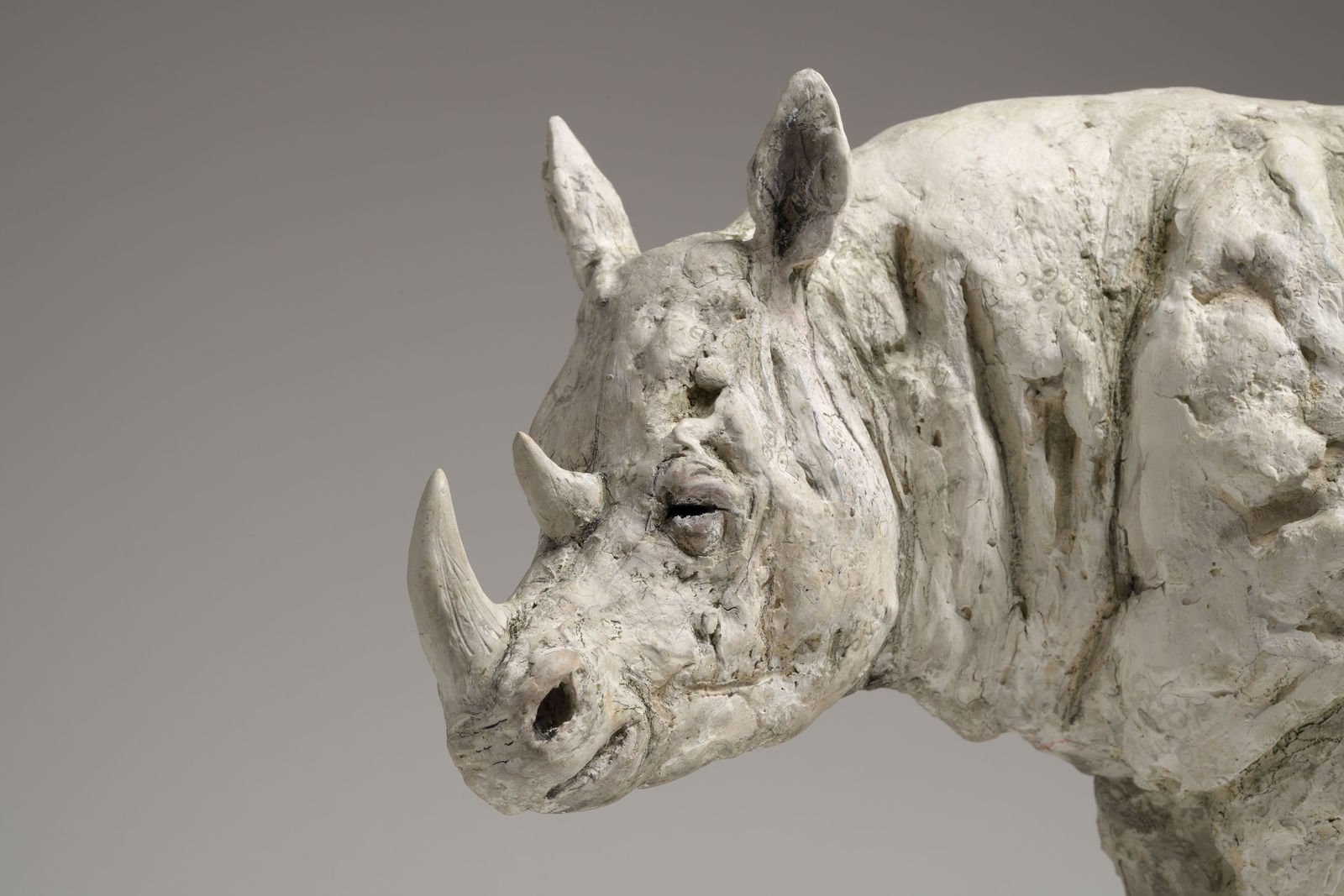 Tanya Brett, Rhino after Dürer, 2021