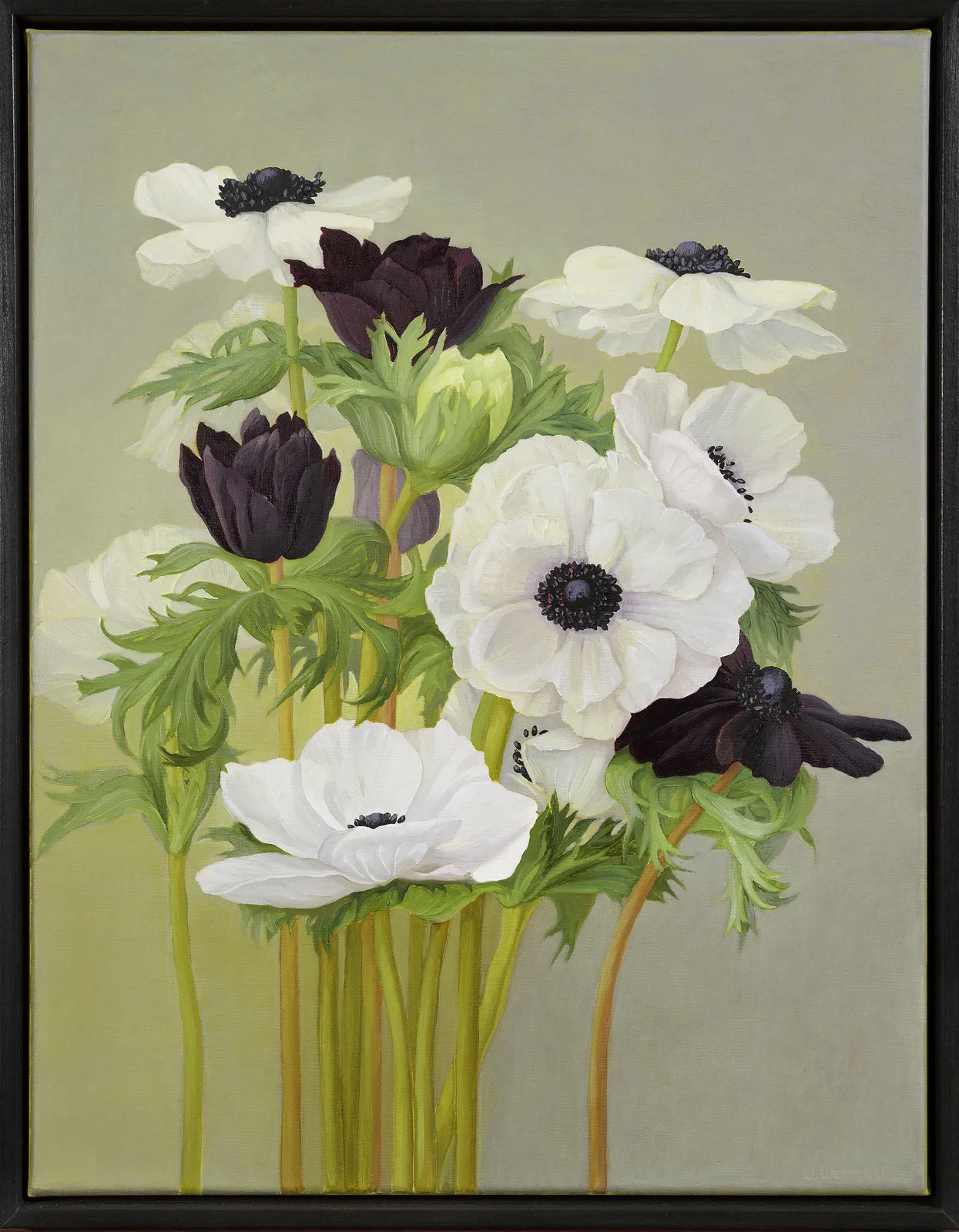 Jane Wormell, Anemones, 2020