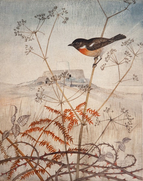 Harriet Bane, Stonechat at Fort Grey