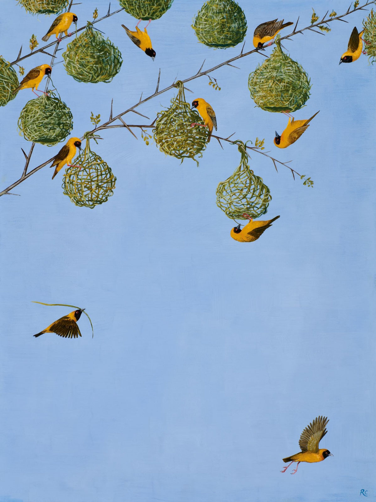 Rebecca Campbell, The Worshipful Company of Weavers, 2024