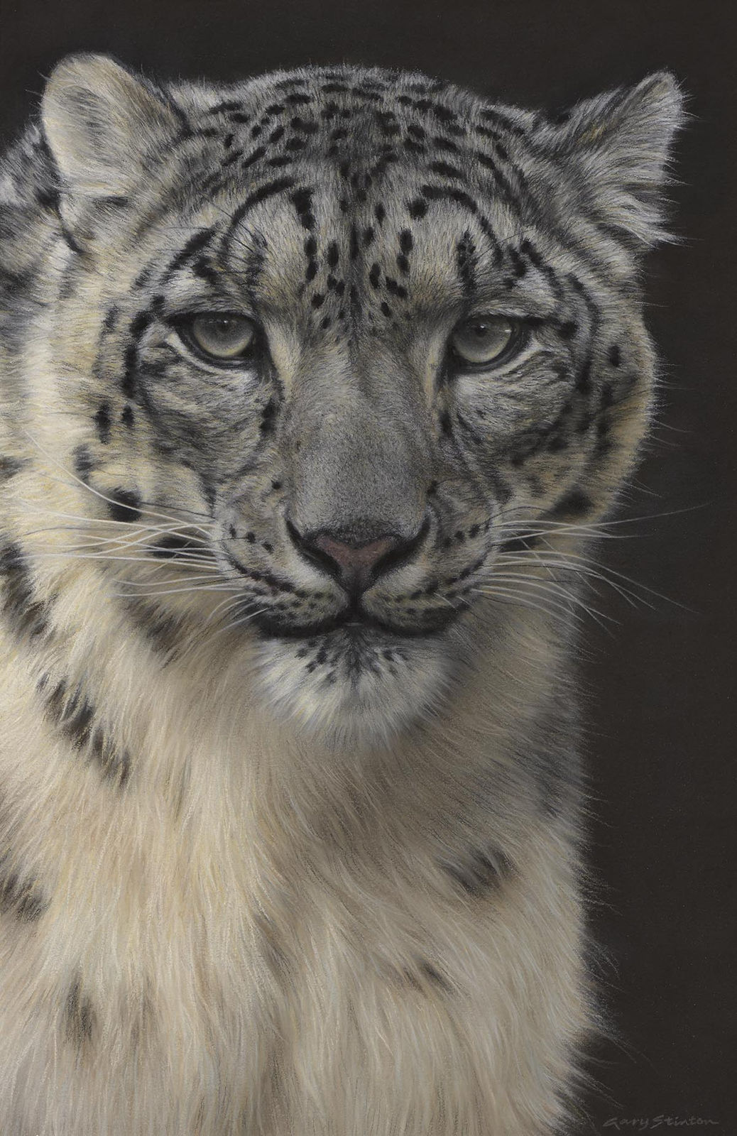 Gary Stinton, Observed by Snow Leopard, 2021