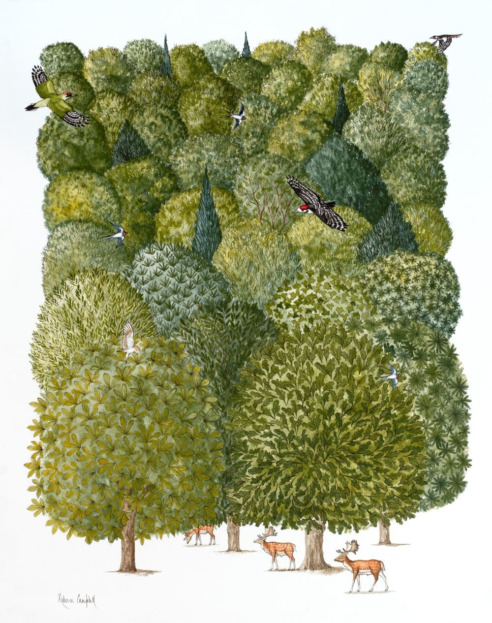 Rebecca Campbell, Can’t See The Woods For The Trees - English Proverb, 2025