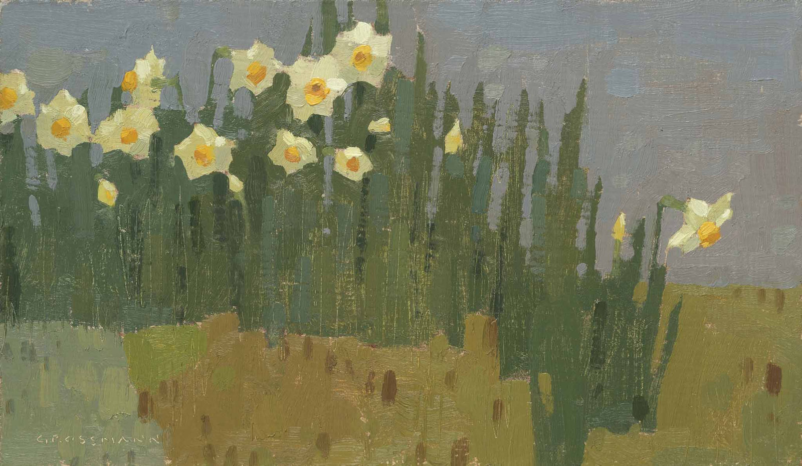 David Grossmann, Garden Daffodils