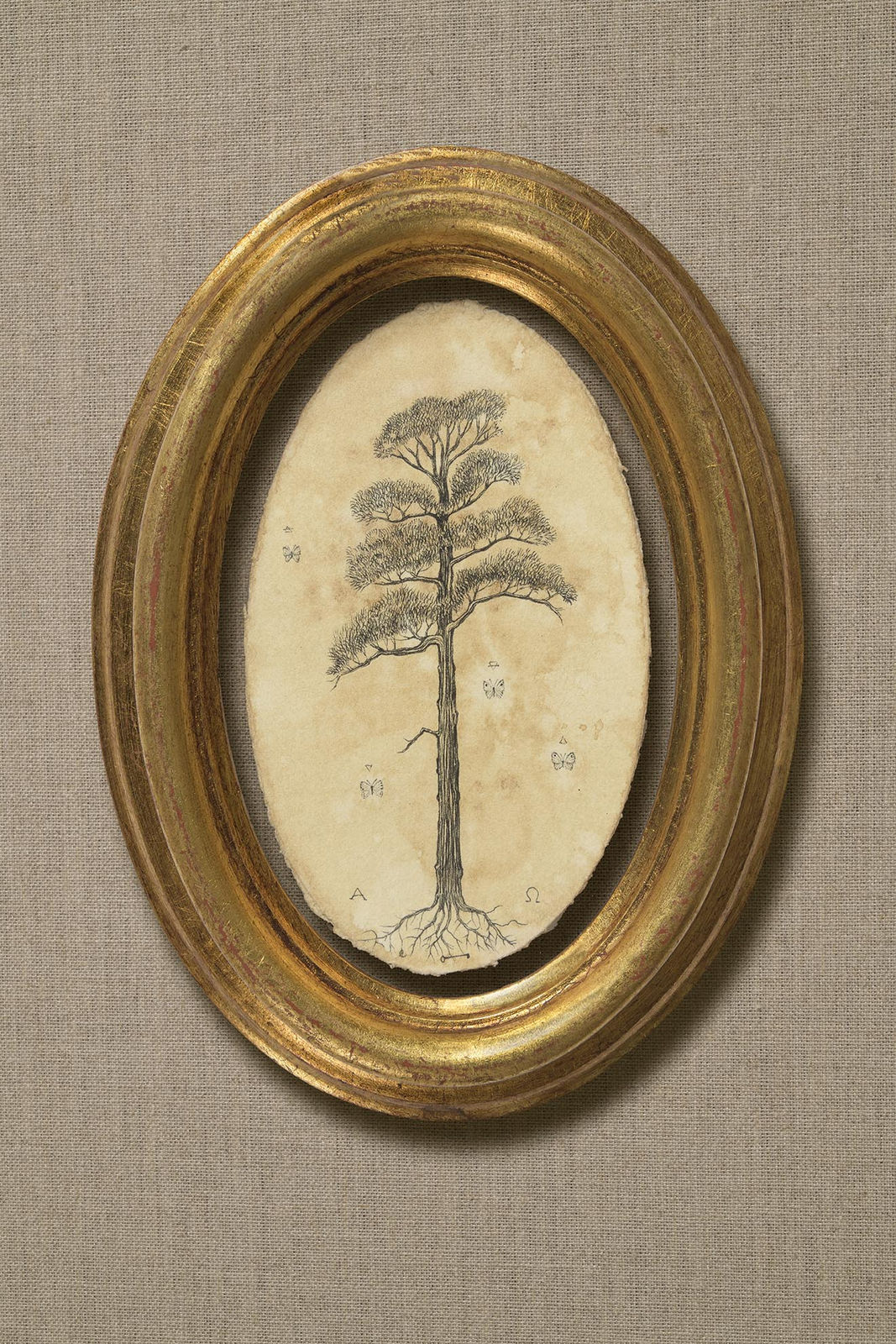 Andrea Collesano, Pino Silvestre, 2020