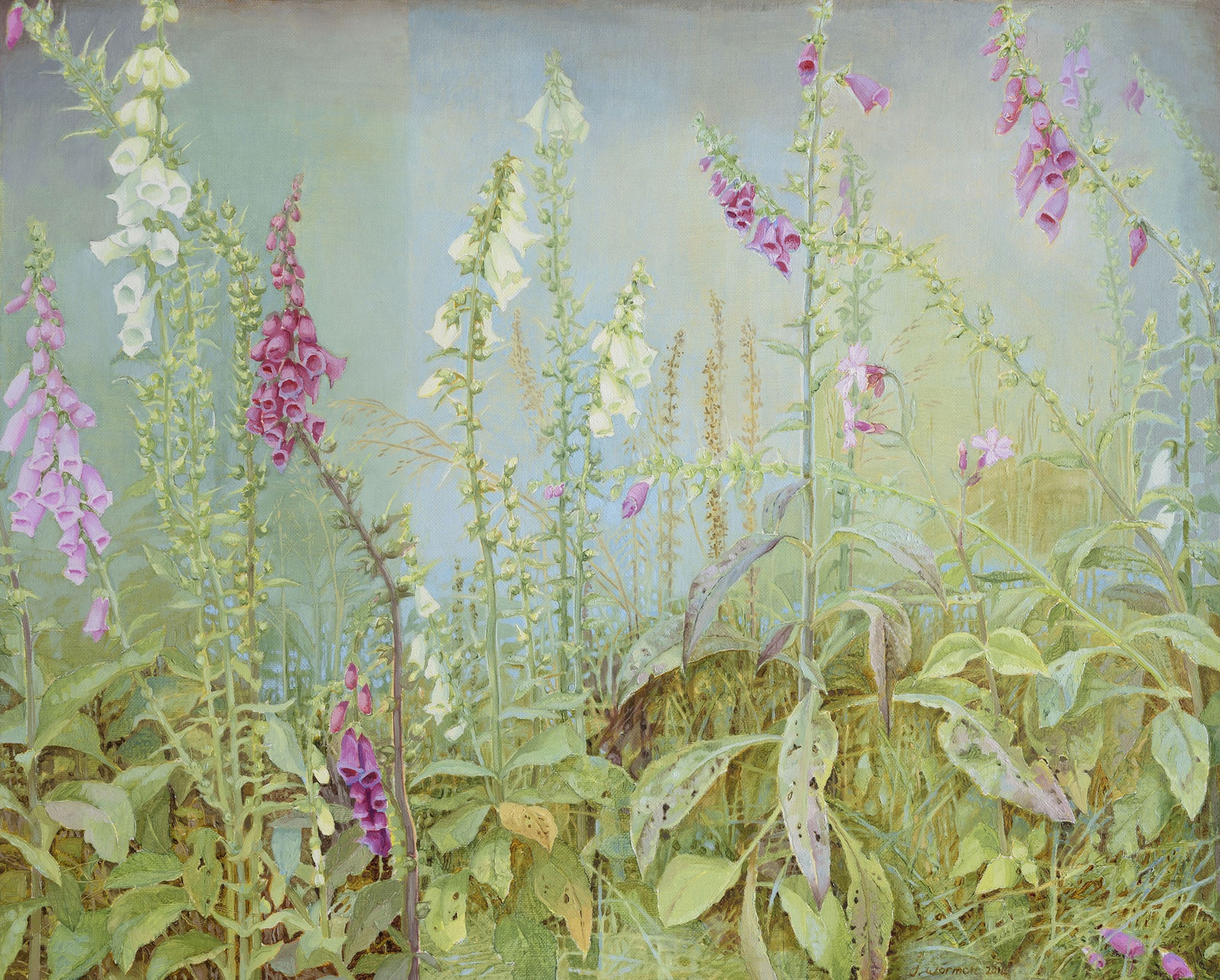 Jane Wormell, Foxgloves