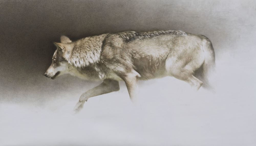 Marzio Tamer, On the Move, 2025