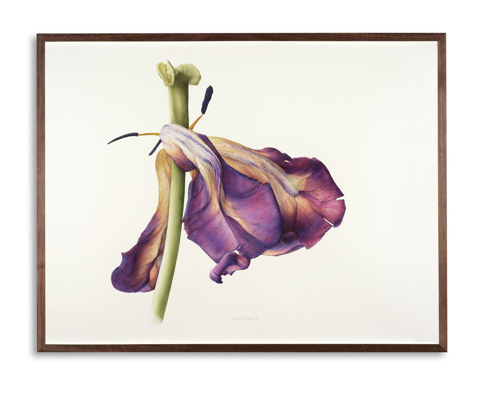 Fiona Strickland, The Vital Moment