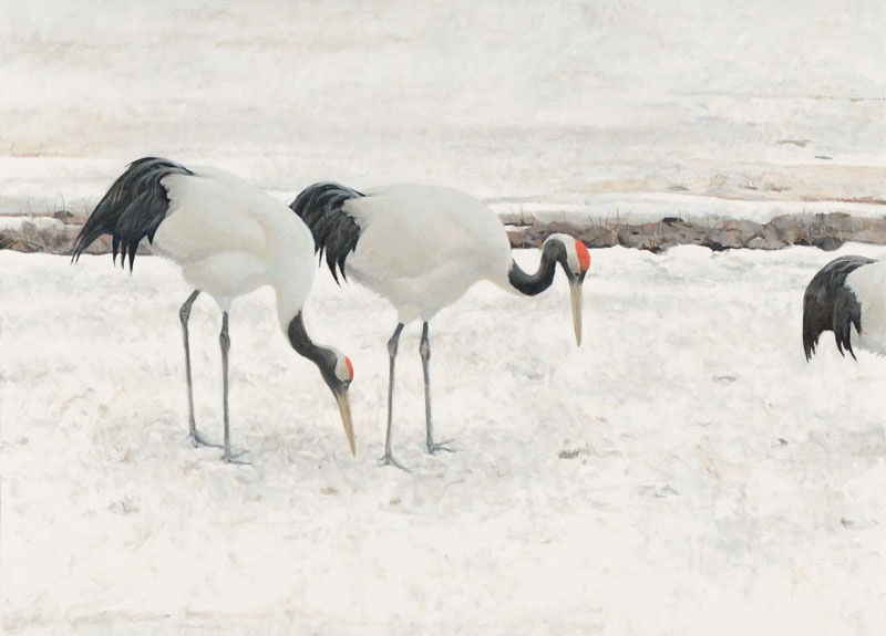 Ron Kingswood, Marsh Kamay, Gods of the Marsh