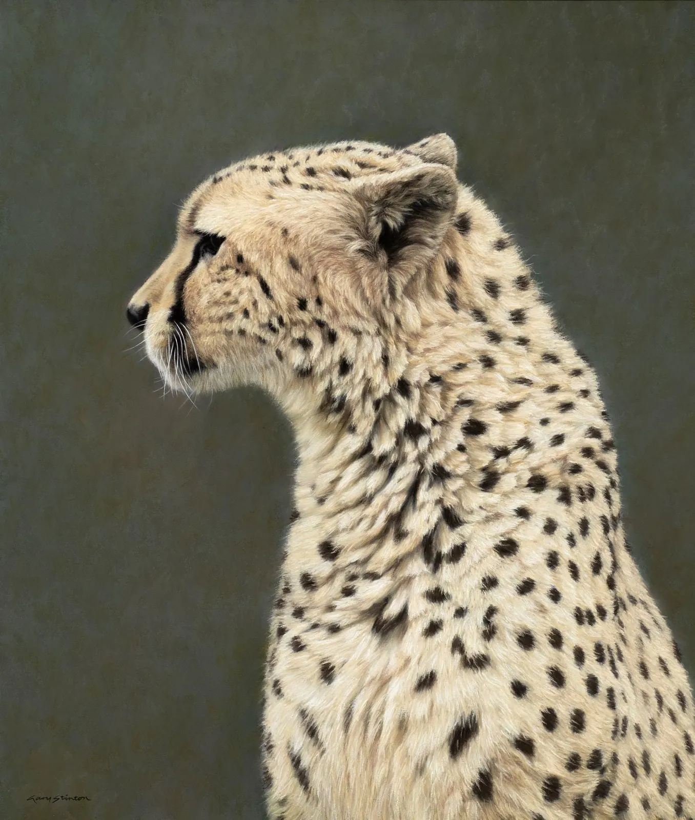 Gary Stinton, Moment With a Cheetah, 2024