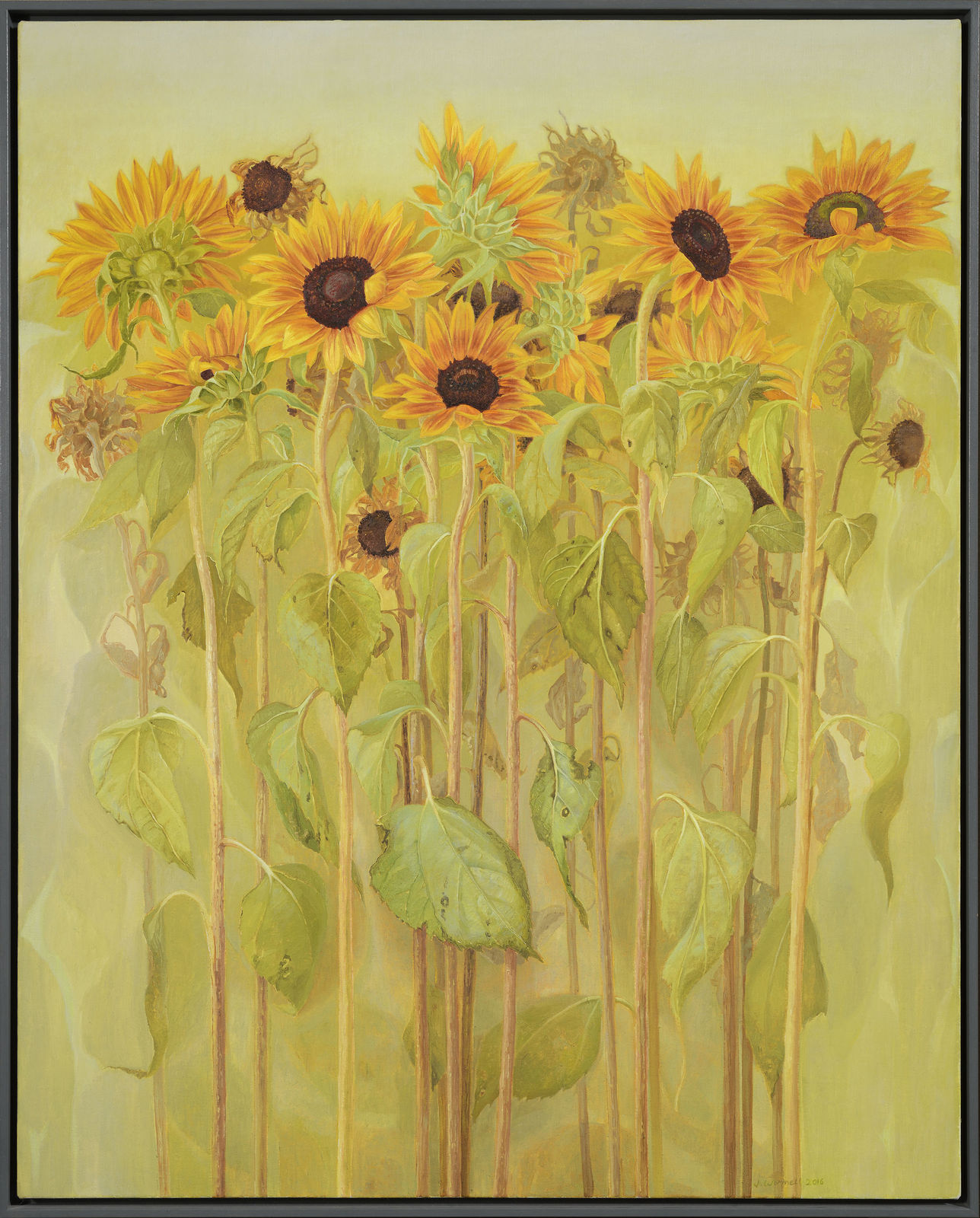 Jane Wormell, Amongst the sunflowers