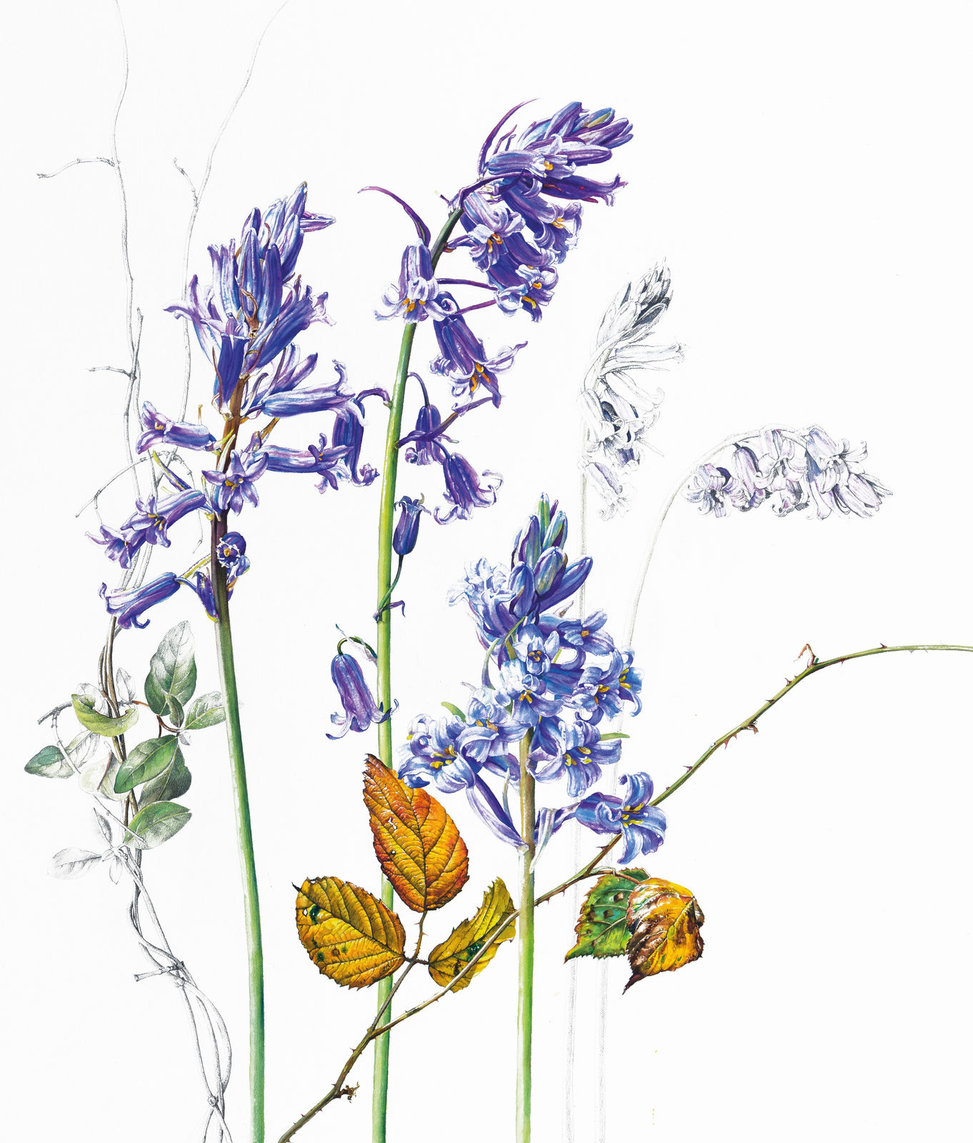 Rosie Sanders, A Silent Eloquence, 2023