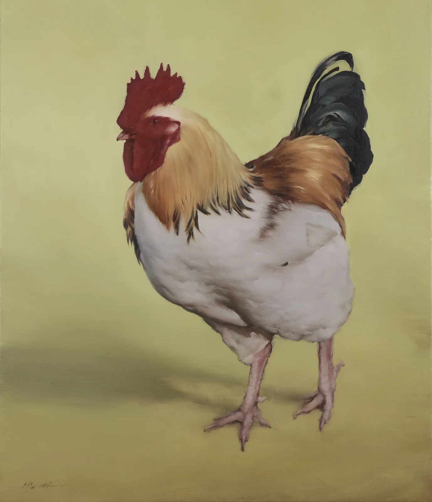 Michael J Austin, A Very Splendid Fellow