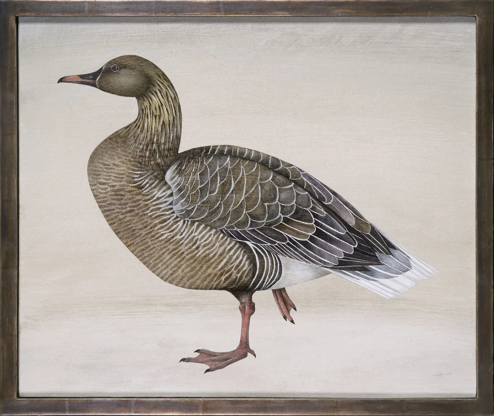 Harriet Bane, Pink Footed Goose