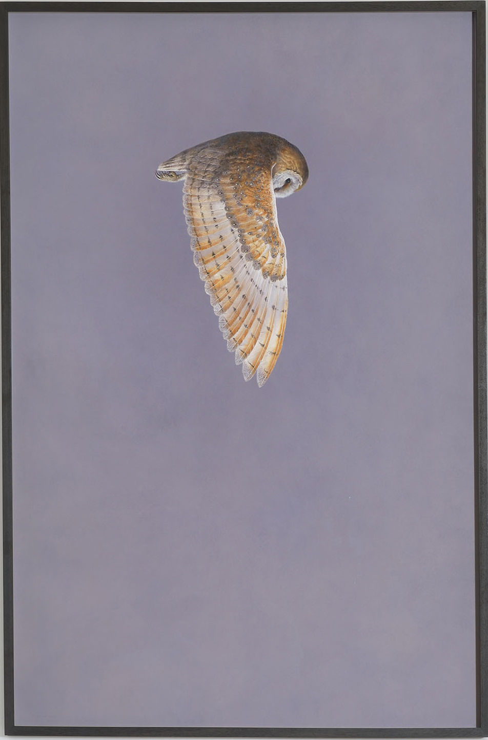 Tim Hayward, Quest - Lilac