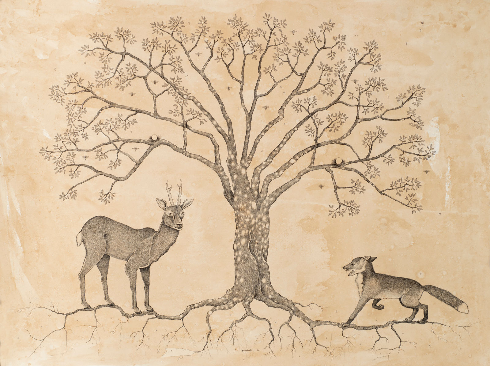 Andrea Collesano, PULLULAVIT (deer and fox), 2022