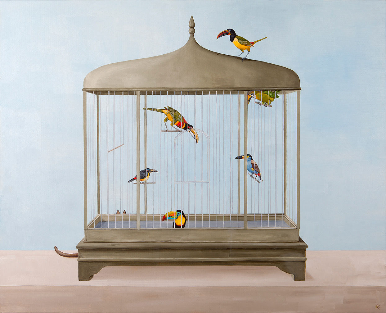 Rebecca Campbell, A Durante of Toucans
