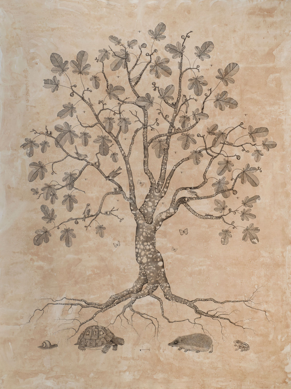 Andrea Collesano, Albero dei Tesori , 2023