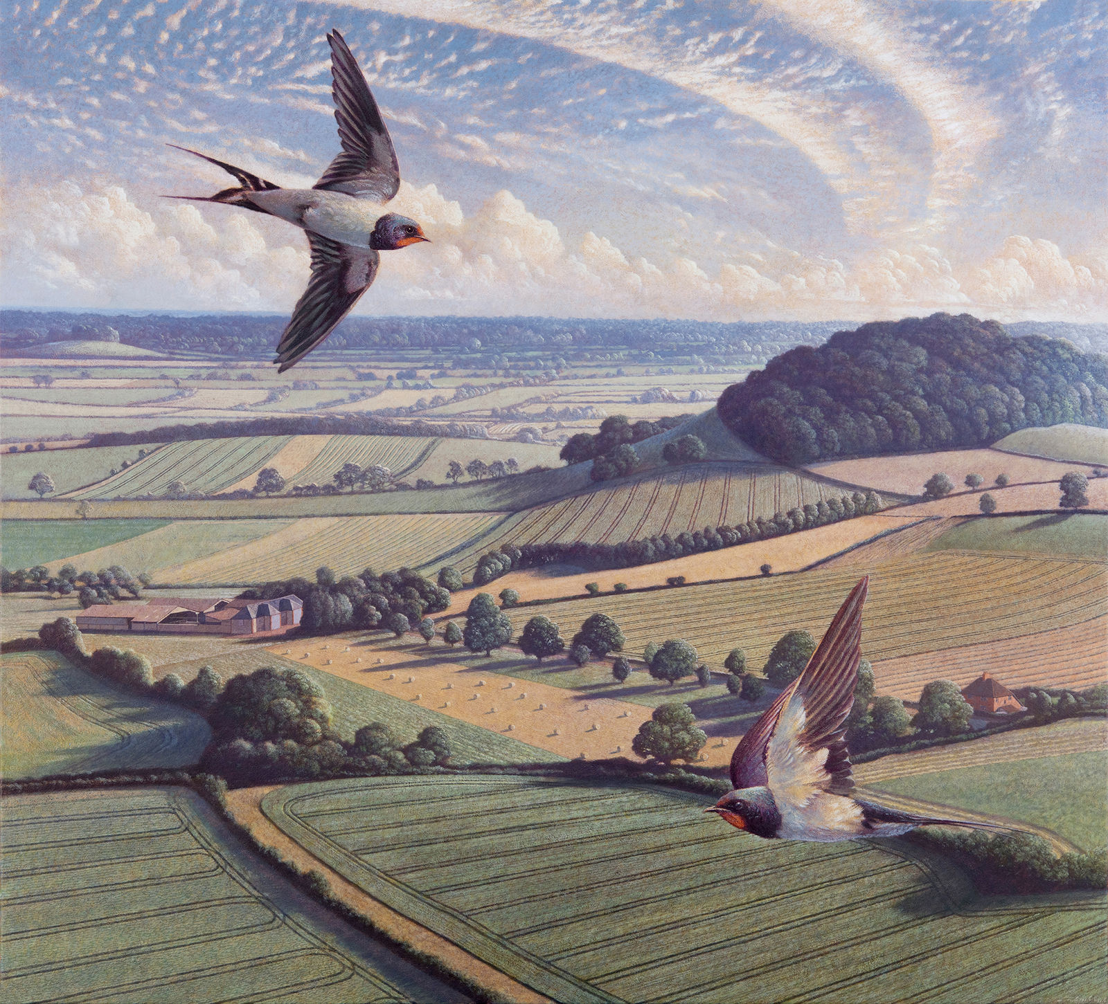 James Lynch, Little Knoll