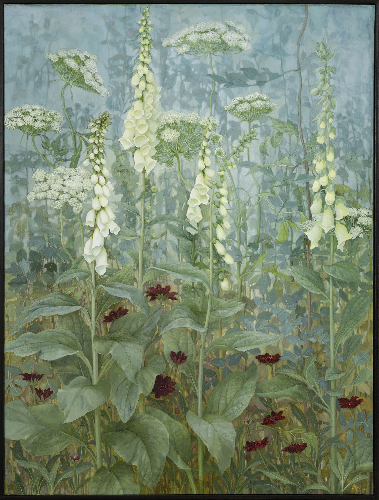 Jane Wormell, Foxgloves, Ammi, Chocolate Cosmos, 2020