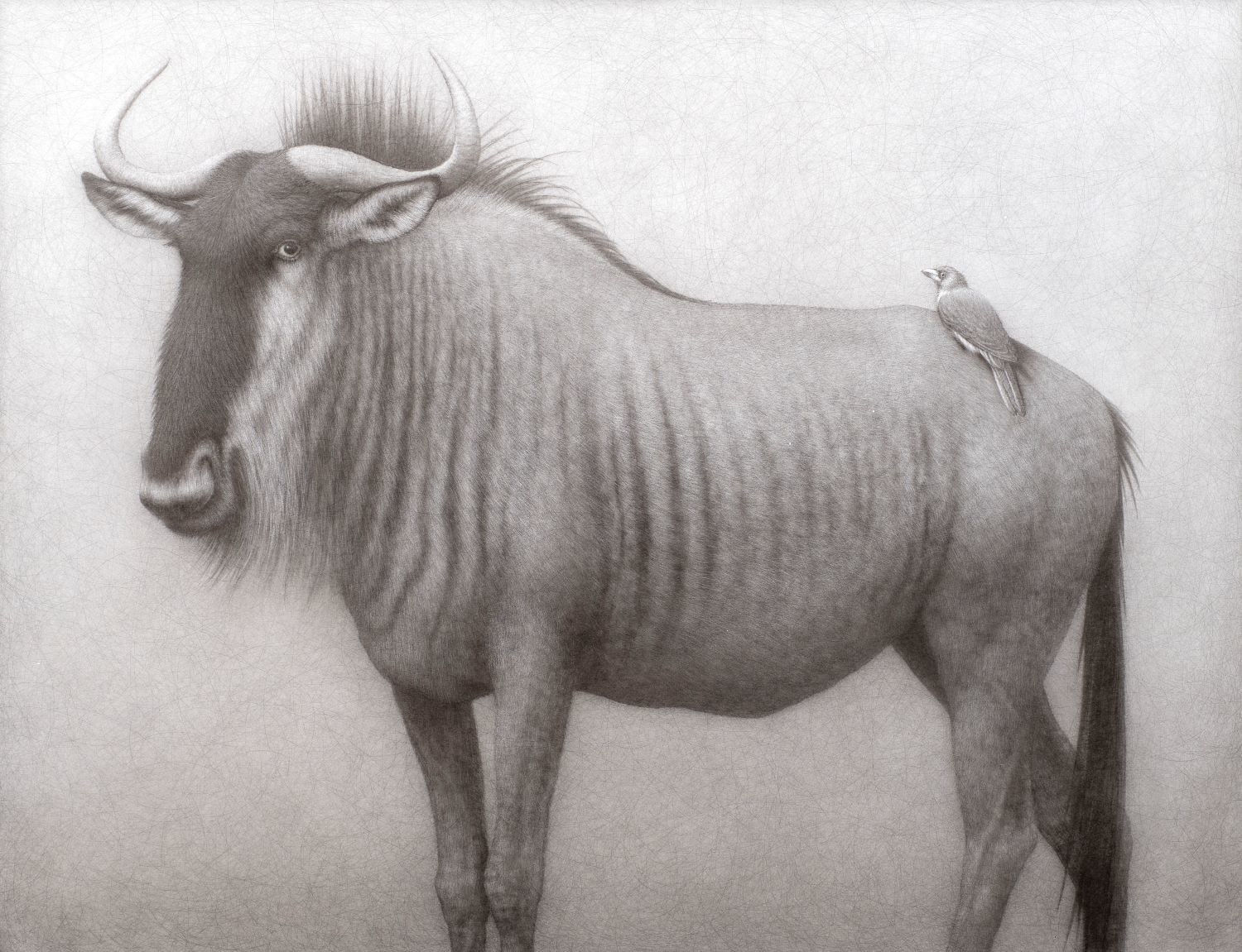 Lee Andre, Unexpected Keystone (wildebeest) , 2024