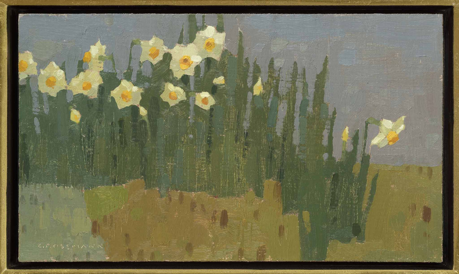 David Grossmann, Garden Daffodils