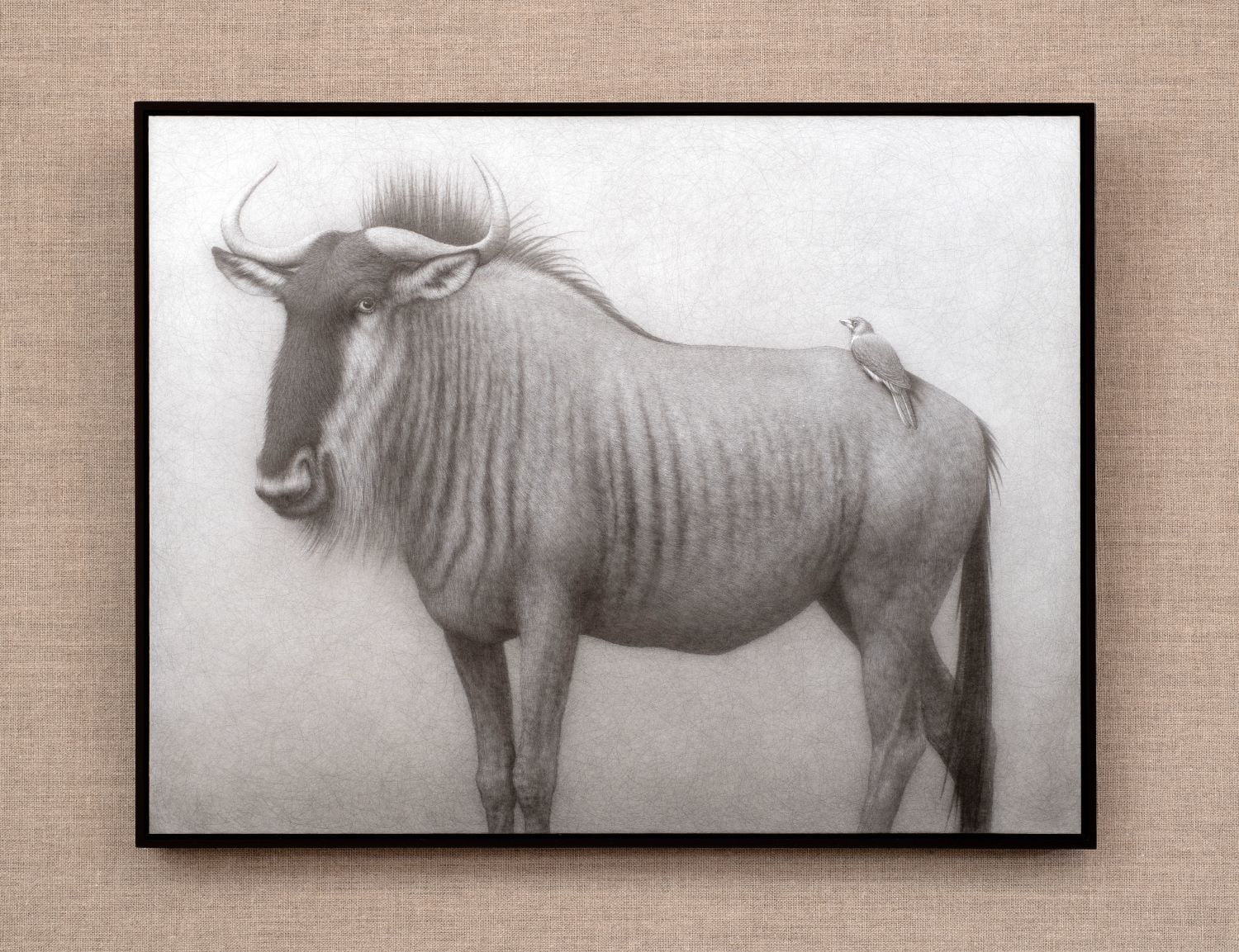 Lee Andre, Unexpected Keystone (wildebeest) , 2024