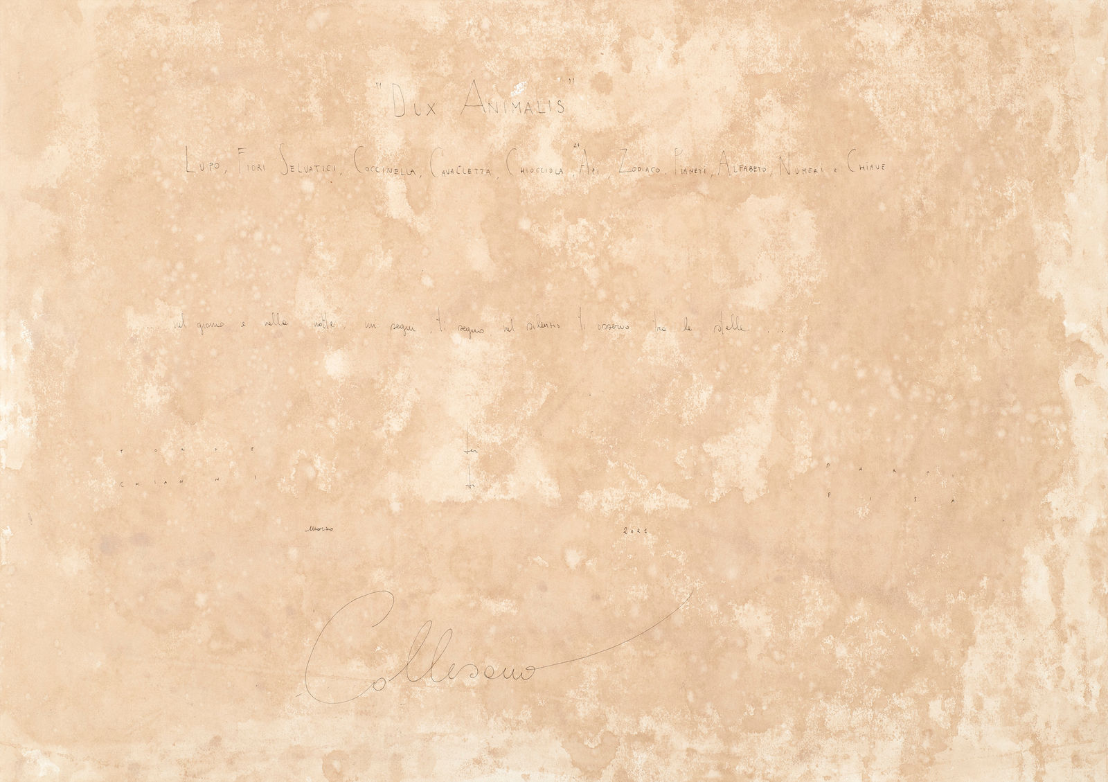 Andrea Collesano, DUX ANIMALIS, 2021