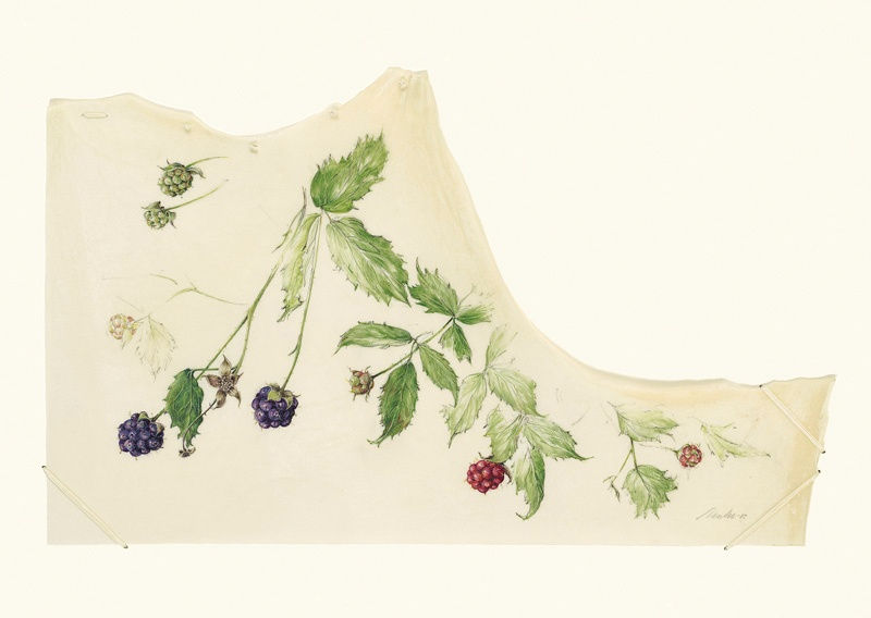 Kate Nessler, Blackberry III