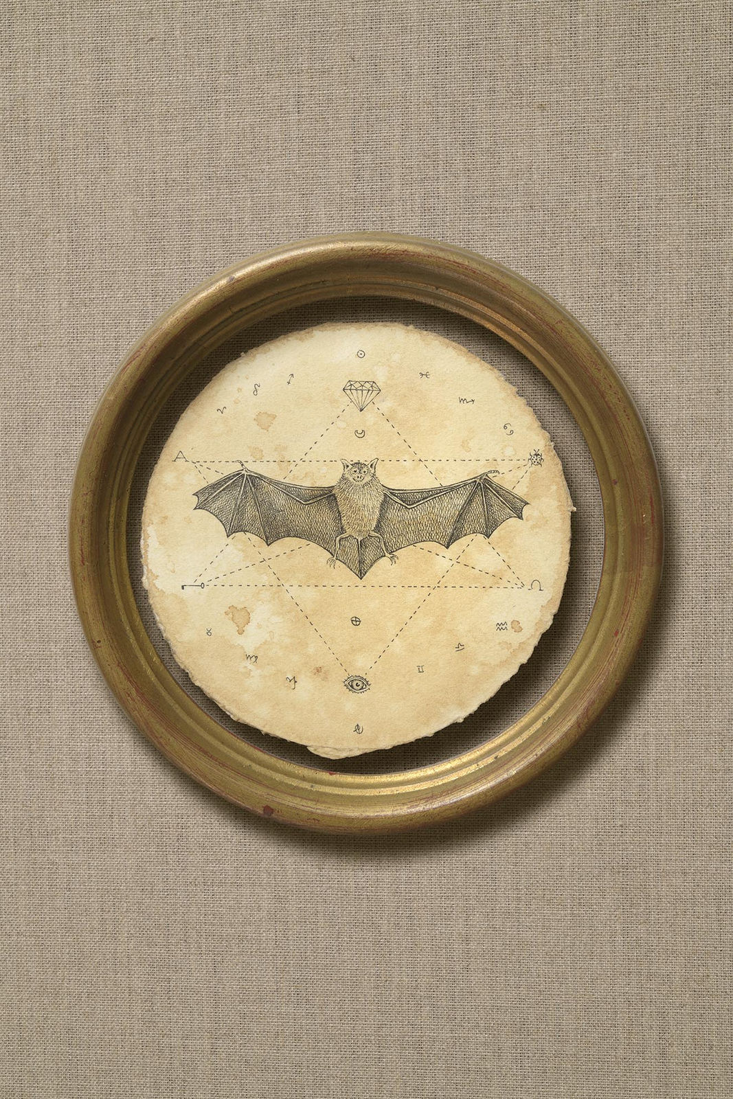 Andrea Collesano, Stella, 2020