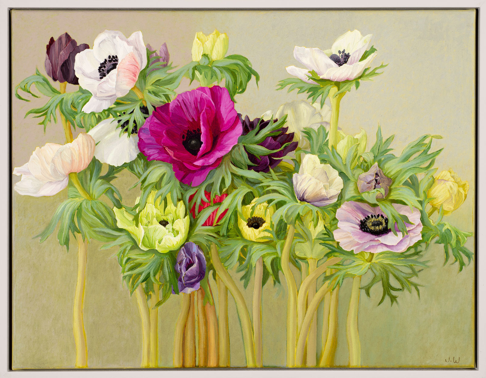 Jane Wormell, Anenomes 2