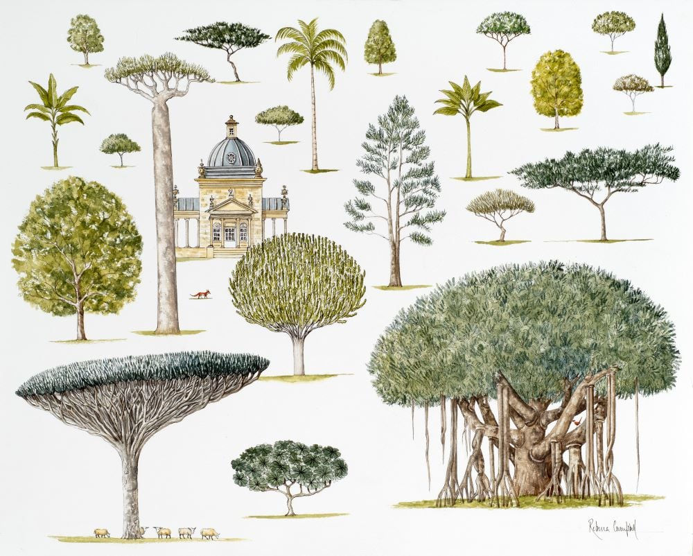 Rebecca Campbell, A Society Grows Great When Old Men Plant Trees Whose Shade They Know They Will Never Sit In - Greek Proverb, 2025