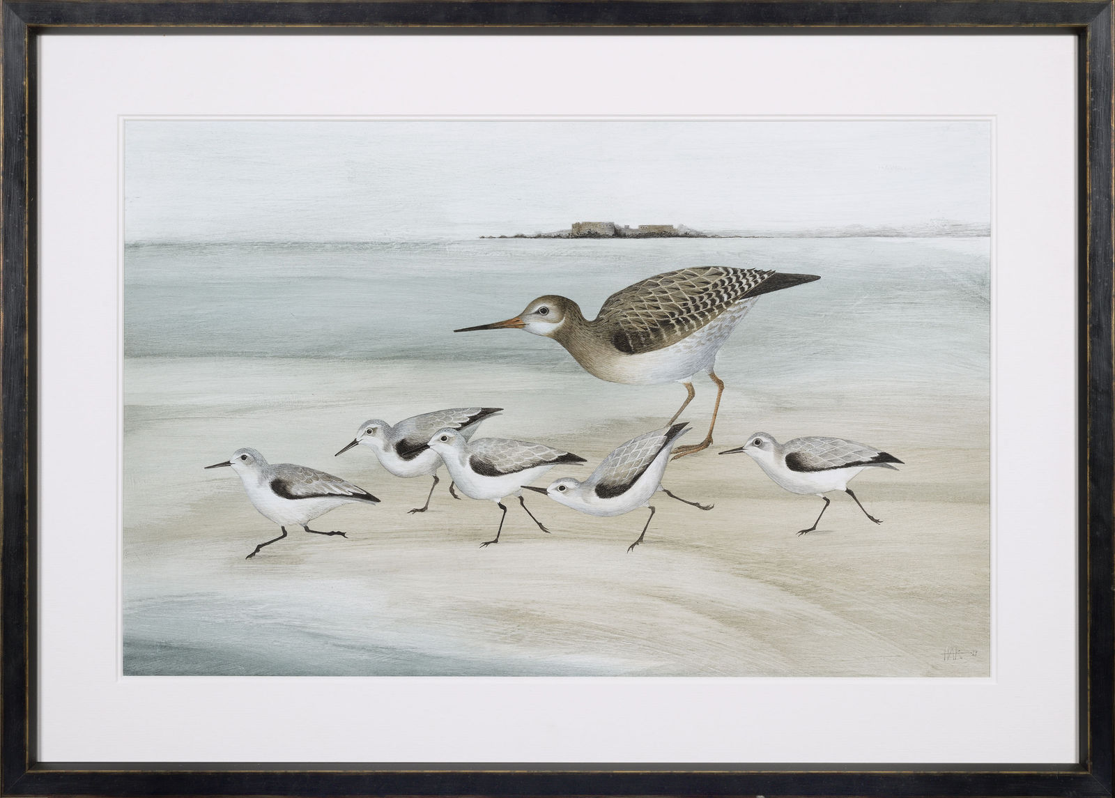 Harriet Bane, Sanderling and Redshank