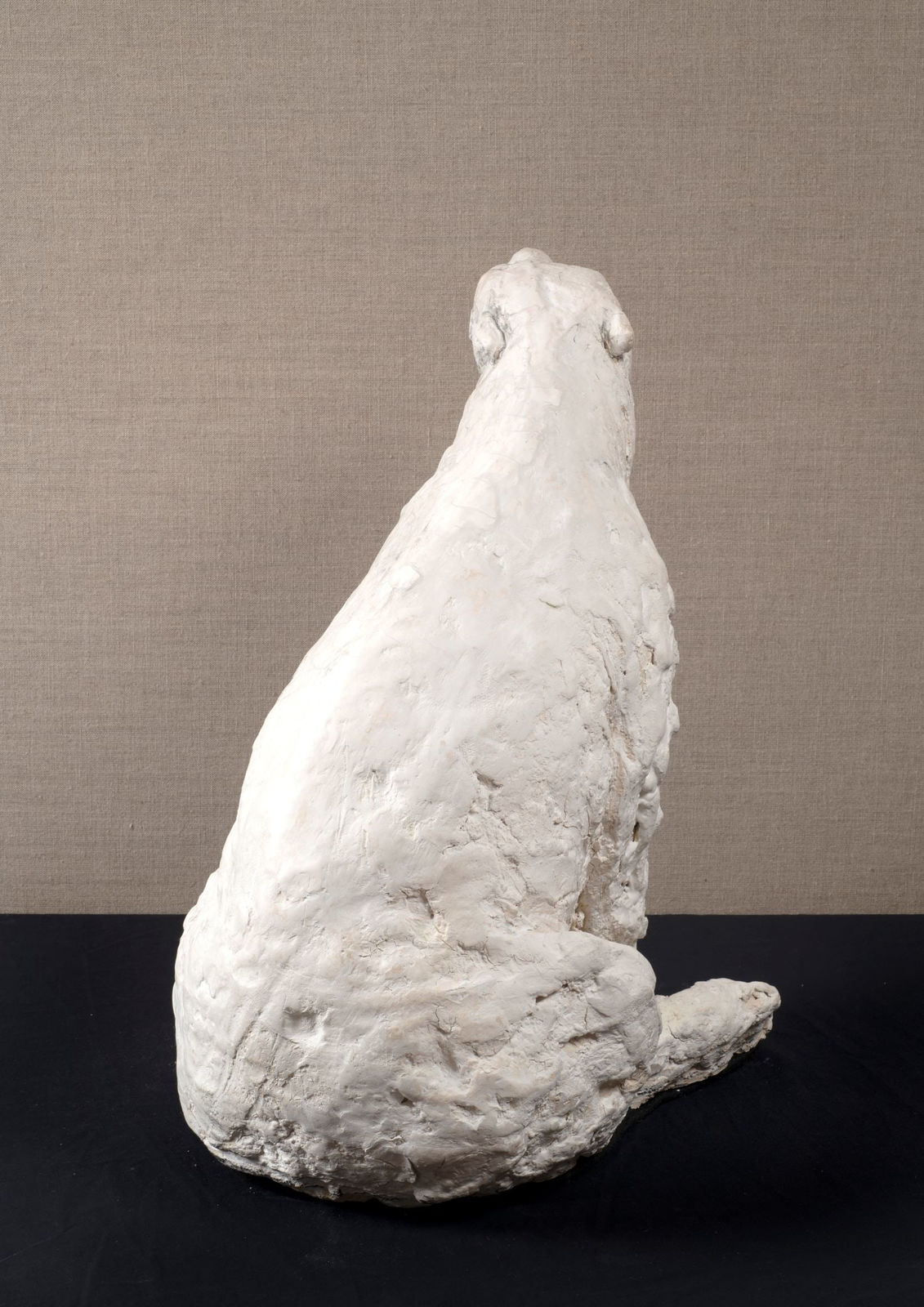 Tanya Brett, Polar Bear 1, 2024