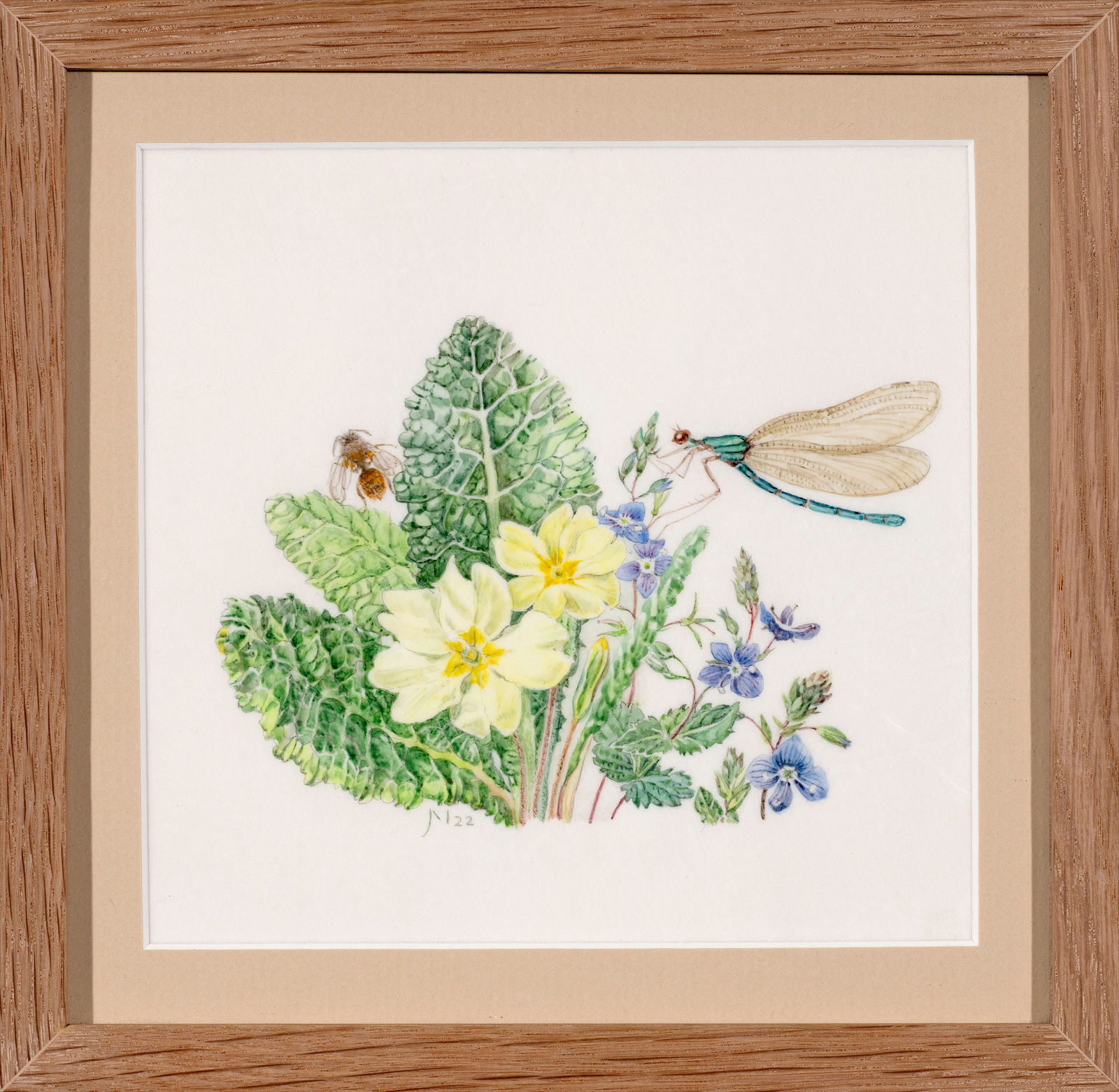 Janet Marsh, Primrose Primula vulgaris and a blue damselfly, 2022
