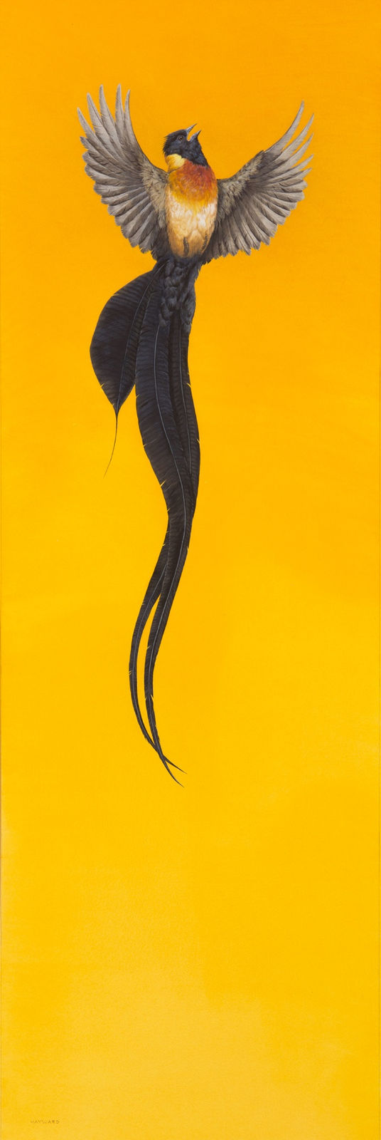 Tim Hayward, Soar – Yellow