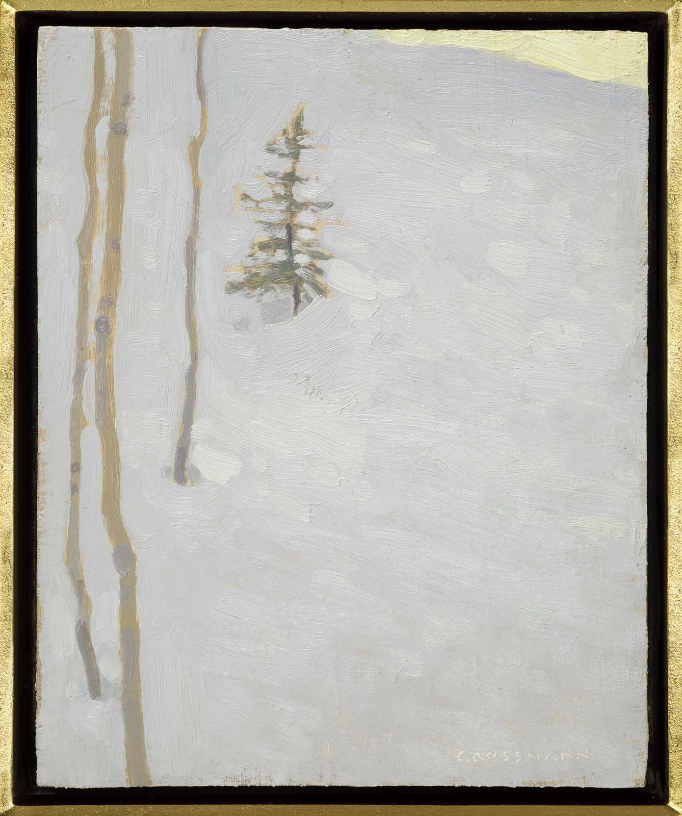 David Grossmann, Forest Snowbank