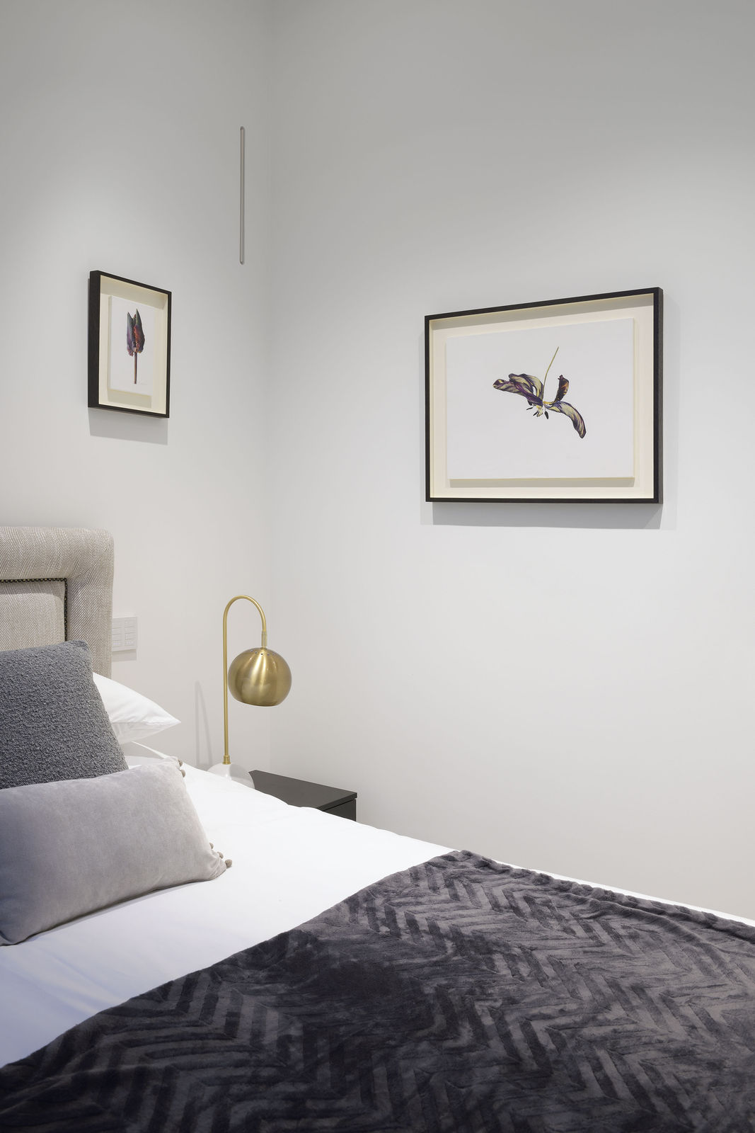 Photography: Douglas Atfield