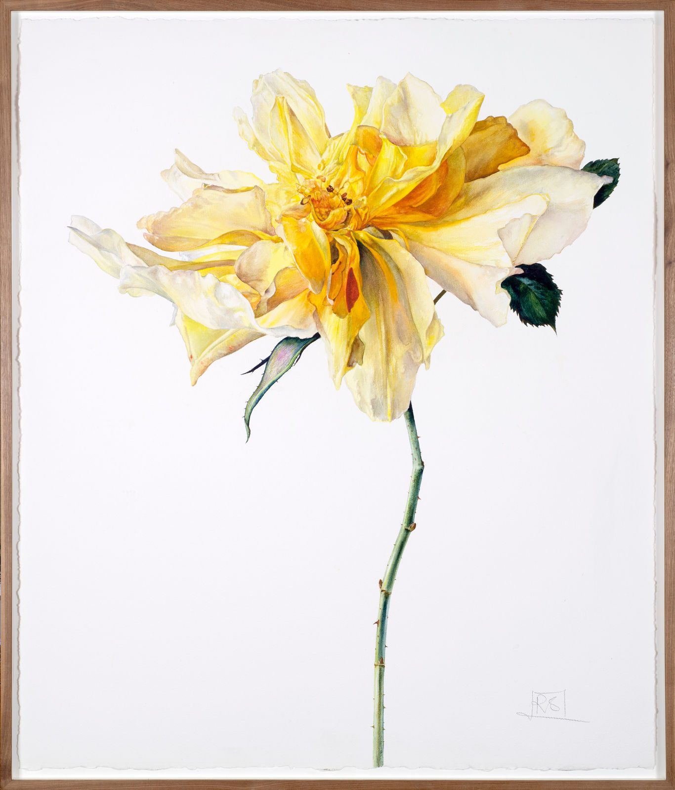 Rosie Sanders, Here comes the sun