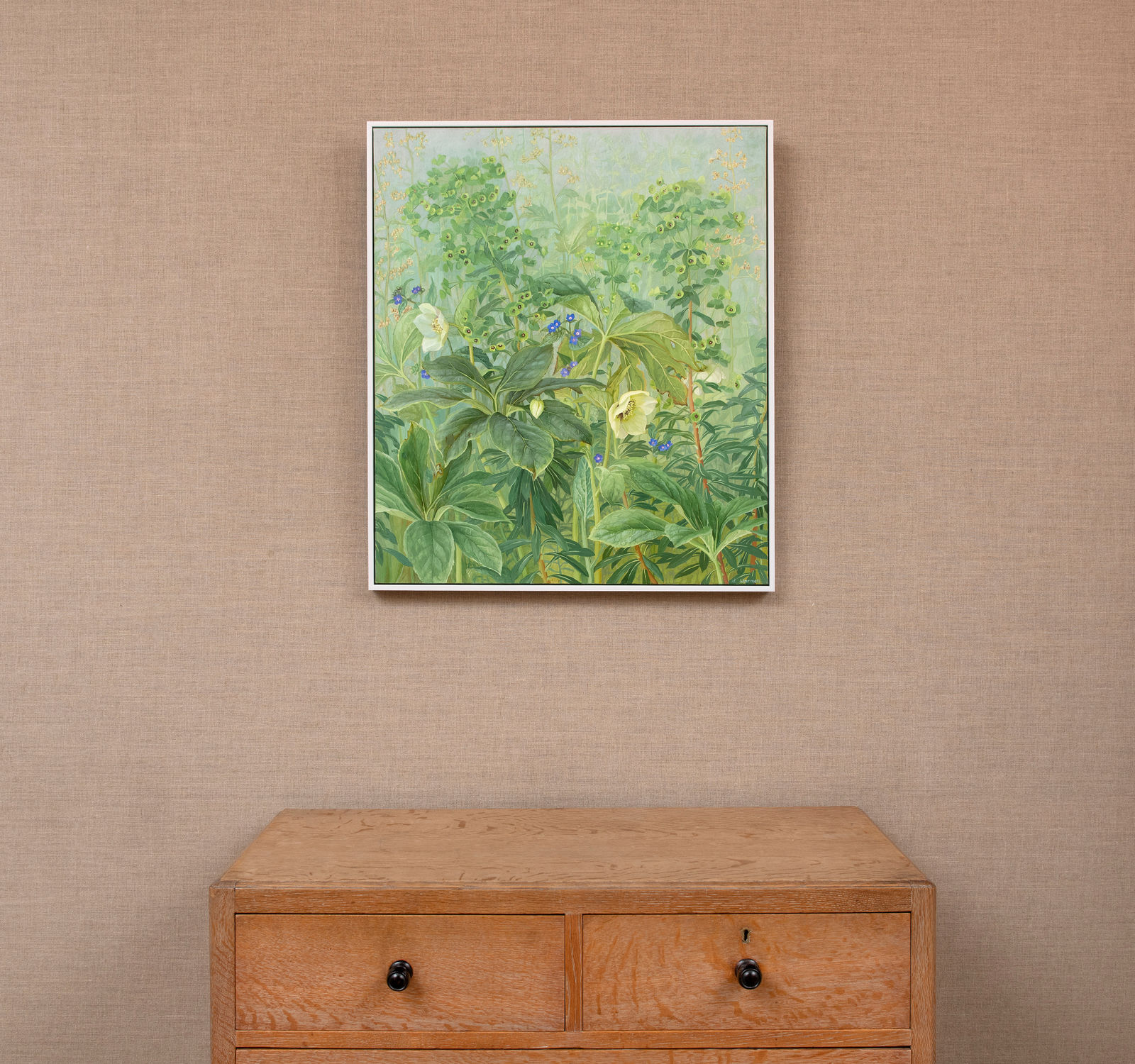 Jane Wormell, Hellebores, Euphorbia & Alkanets