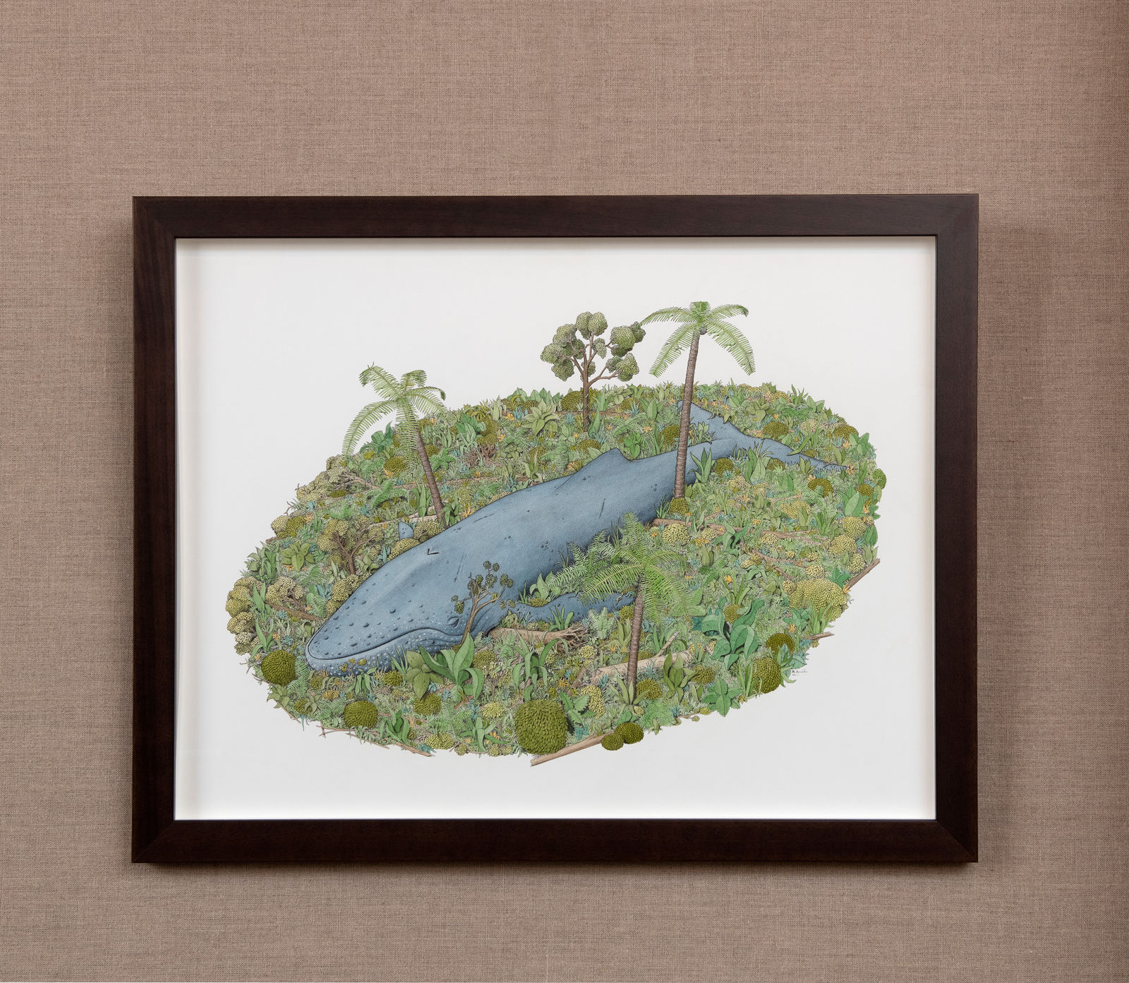 Angus Fisher, Marajó, 2021