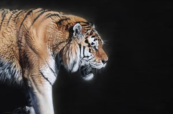 Gary Stinton, Prowling Tiger