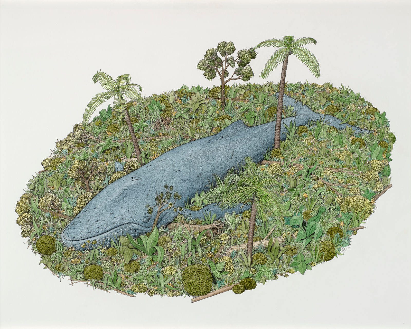 Angus Fisher, Marajó, 2021