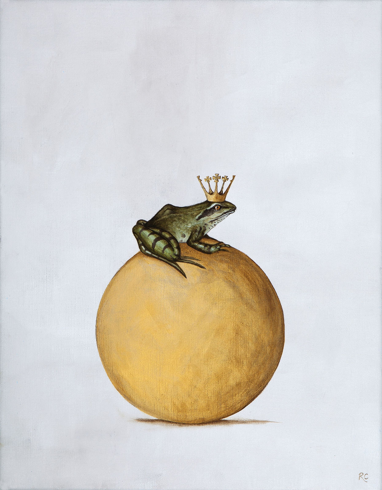 Rebecca Campbell, Don't Judge a Book by its Cover