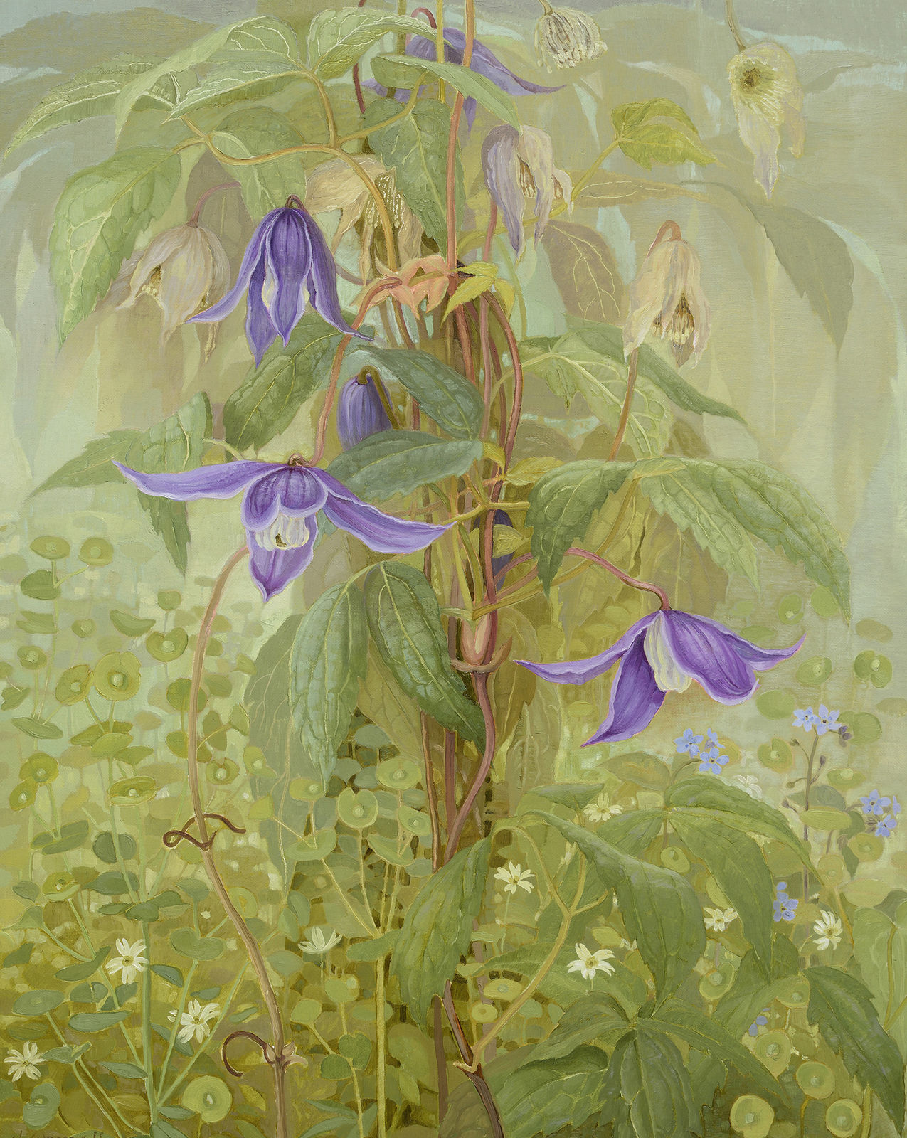 Jane Wormell, Early Clematis and Euphorbia