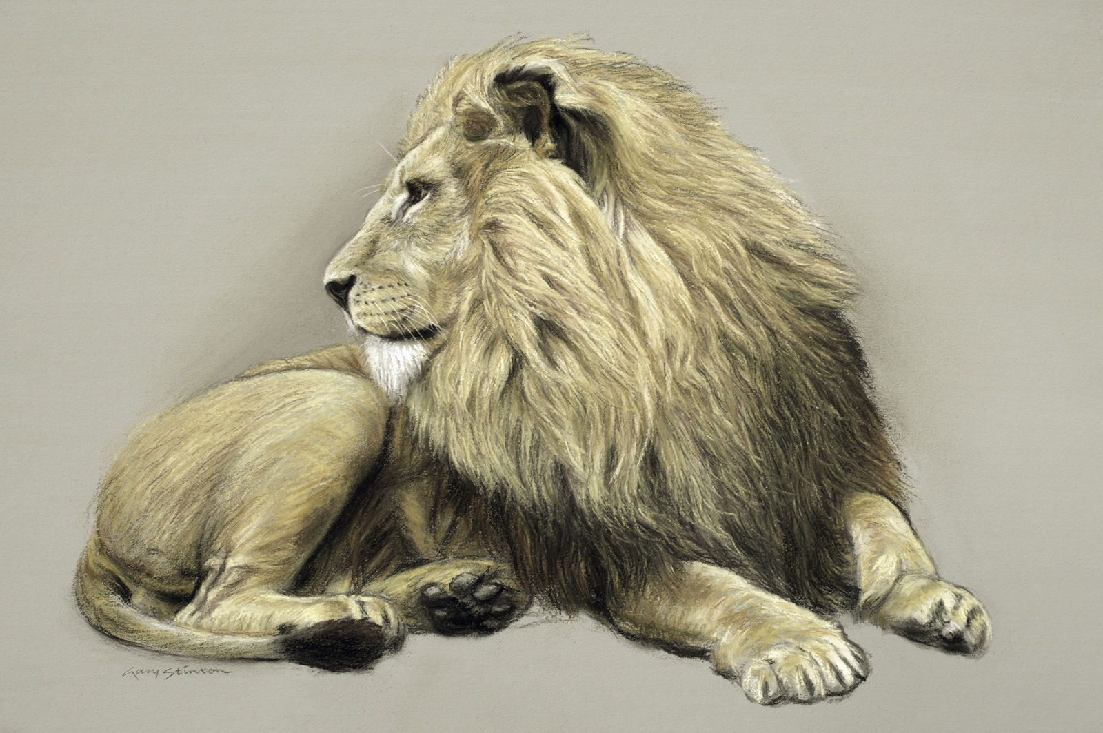 Gary Stinton, Study of Recumbent African Lion II