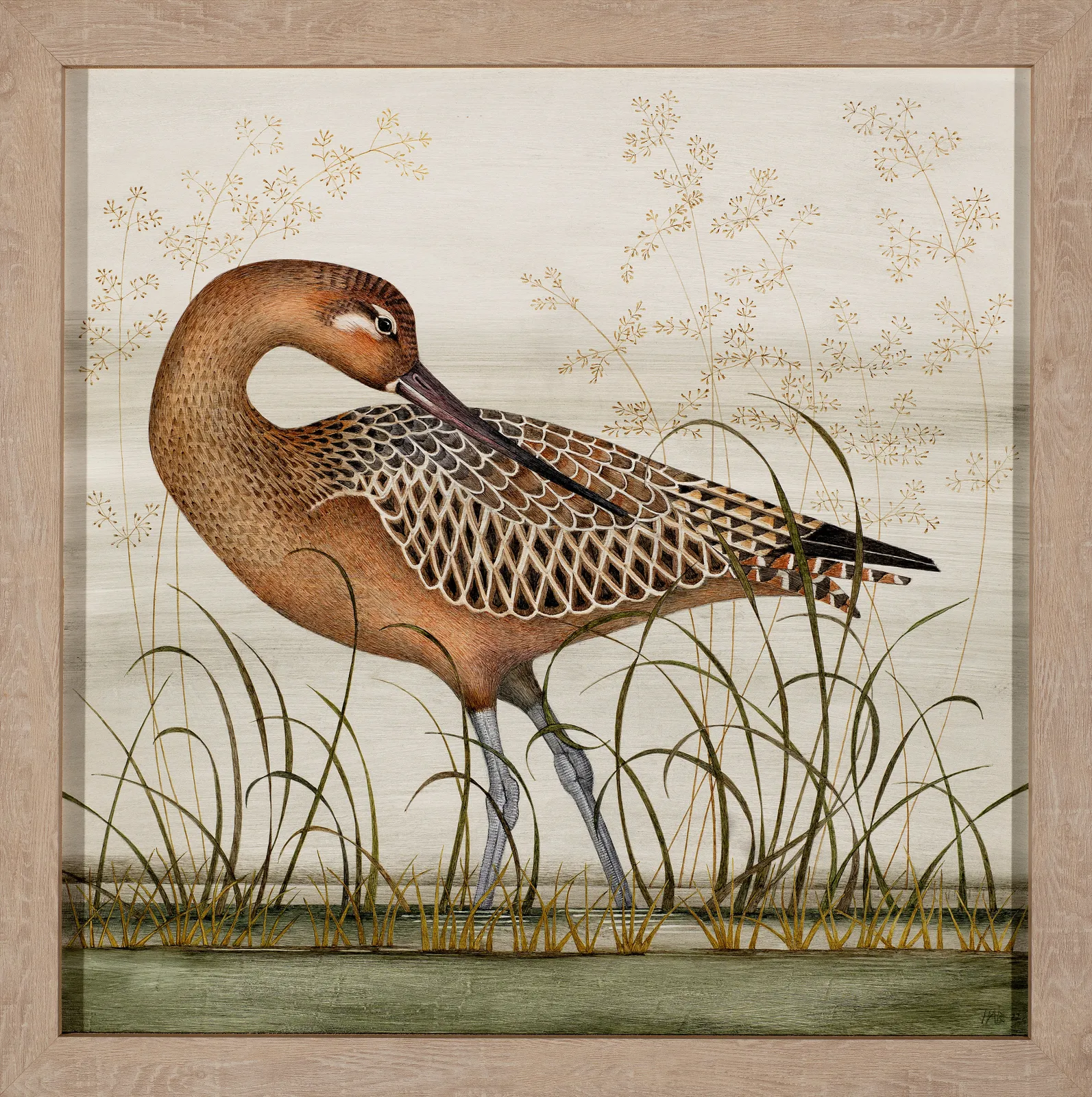 Harriet Bane, Bar-tailed Godwit, 2022